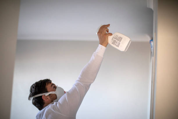 Best Mold Testing and Removal  in Rolla, ND