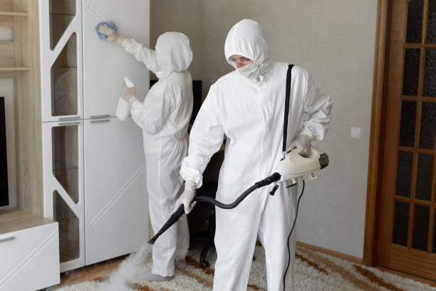 Crawl Space Mold Removal in Rolla, ND