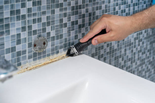 Best Home Mold Removal  in Rolla, ND